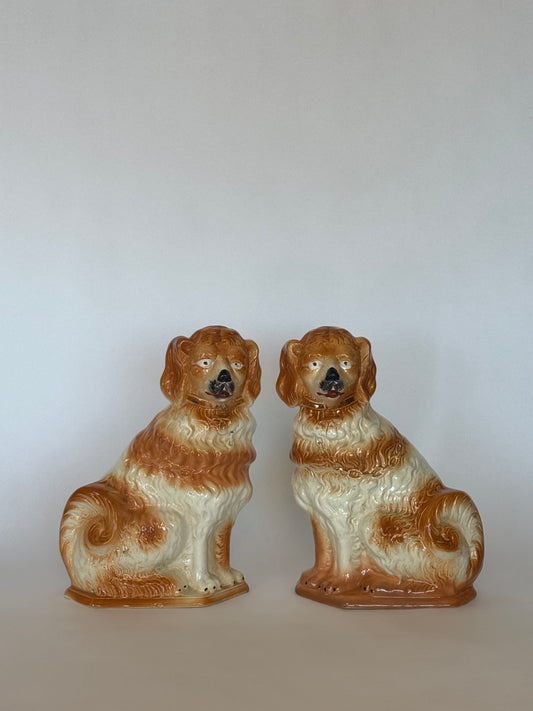 Large King Charles Staffordshire Dog Pair