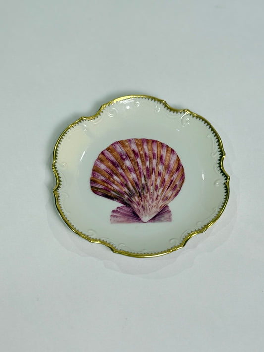 Anna Weatherley Designs Seashell Plate