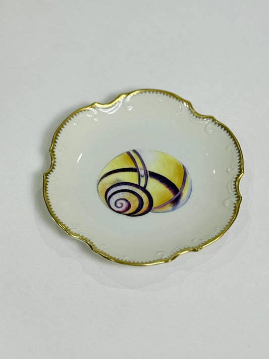 Anna Weatherley Designs Seashell Plate