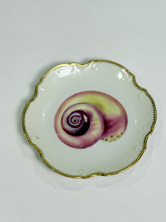 Anna Weatherley Designs Seashell Plate