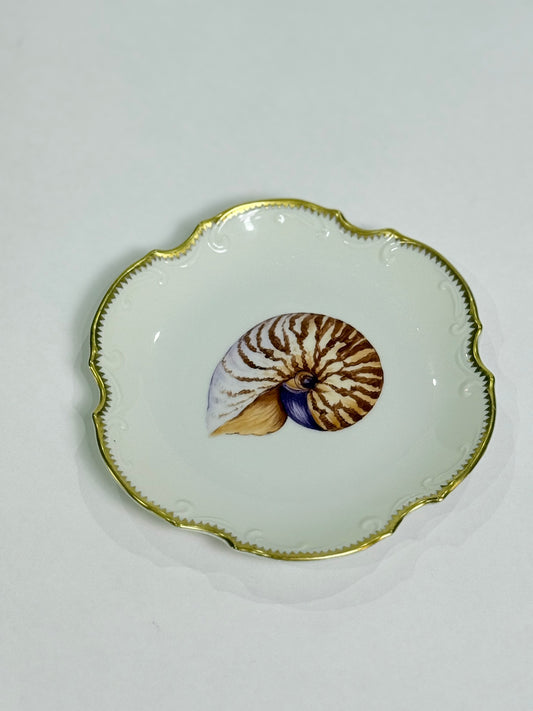Anna Weatherley Designs Seashell Plate