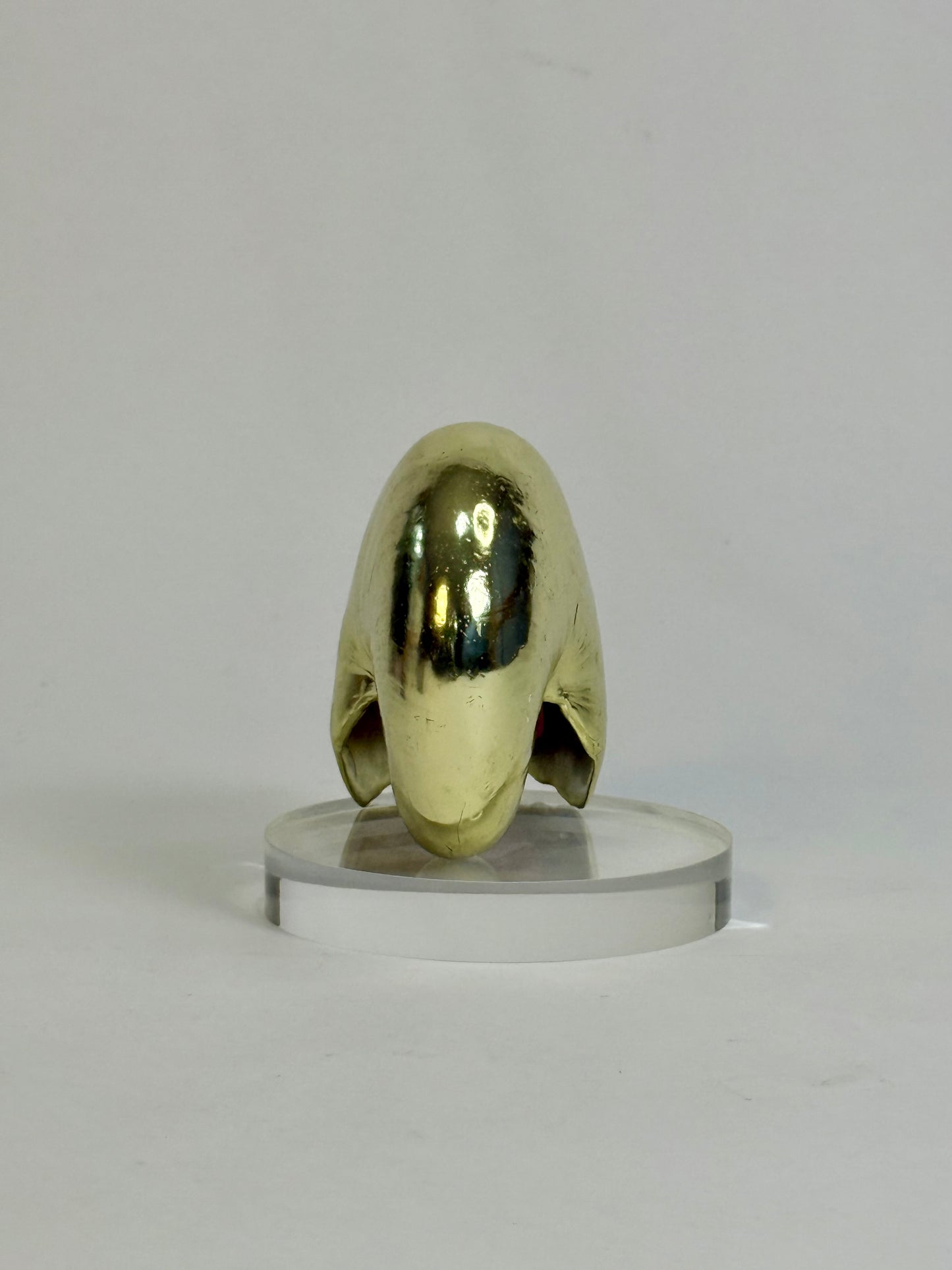 Vintage Gold-Plated Nautilus Shell