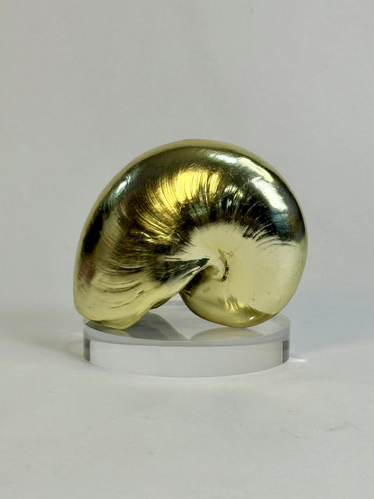 Vintage Gold-Plated Nautilus Shell