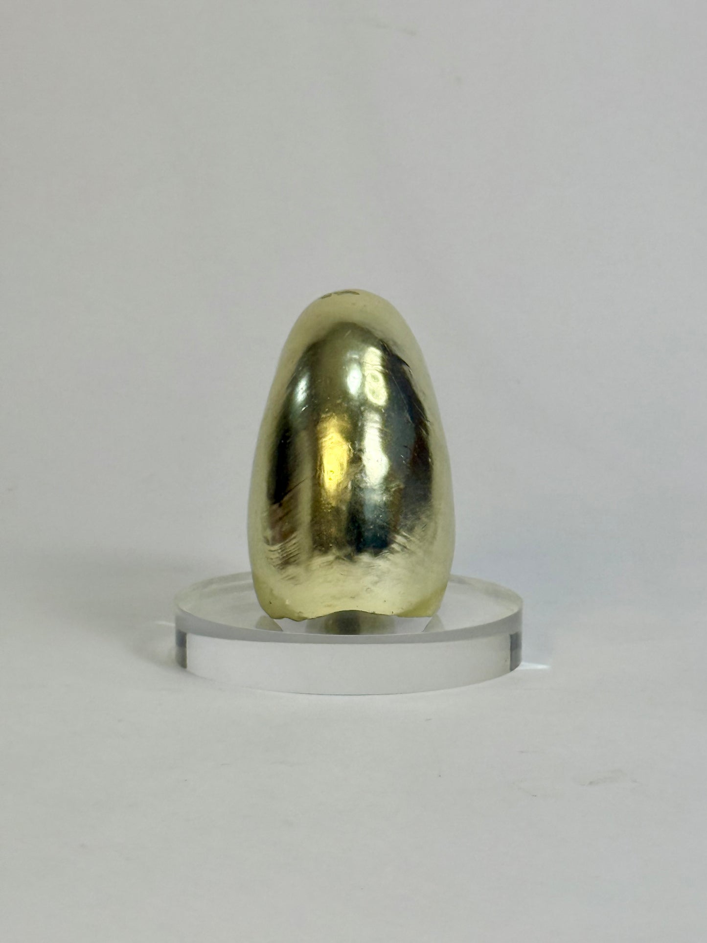 Vintage Gold-Plated Nautilus Shell